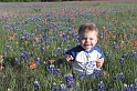 BlueBonnets4-2005-3