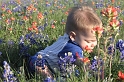 BlueBonnets4-2005-32