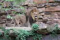 Zoo_4-05-54