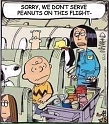 NoPeanutsOnFlight