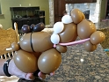 Jess_BalloonPony