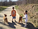 Kids_WalkinDogs