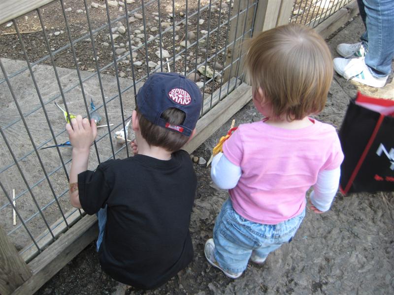Jess_Zoo-ParakeetCage-3.JPG - Alex, let me feed the birds...