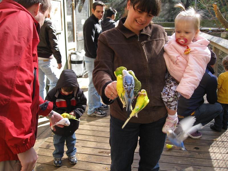 Matt&JacquiVisit_Zoo-1.JPG - Not sure I want to feed them this time Mummy!  They look REALLY hungry, I might lose a digit!?...