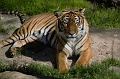 DSC_7575-FWZoo
