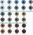 EyeColor