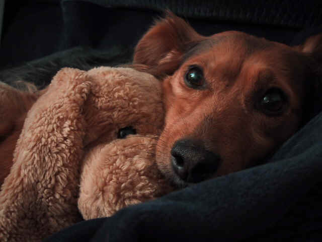 Keighley9.jpg (83964 bytes)