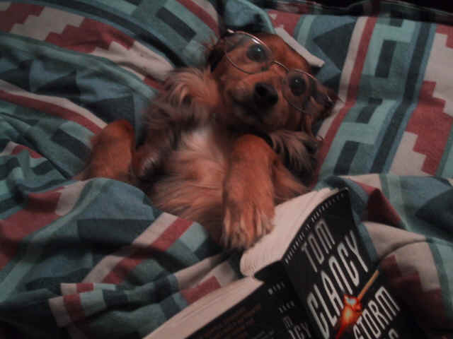 Keighleyread4.JPG (93224 bytes)