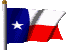 texasCLR_cg30.gif (6994 bytes)